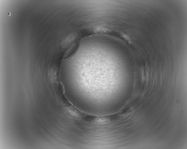 X0000065990619200603101506