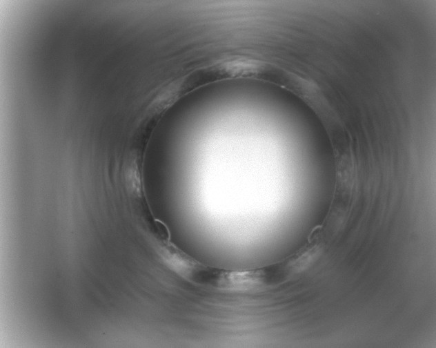 X0000065990622200603101506