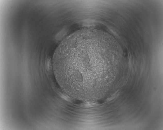 X0000065990623200603101506