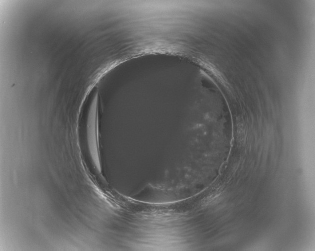 X0000065990626200603101505