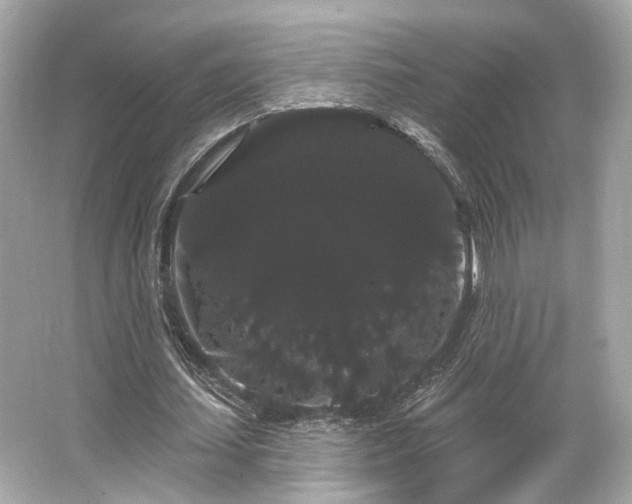 X0000065990627200603101505