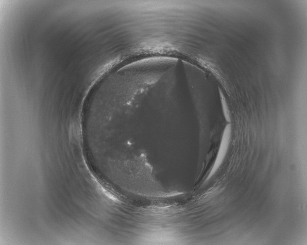 X0000065990630200603101505