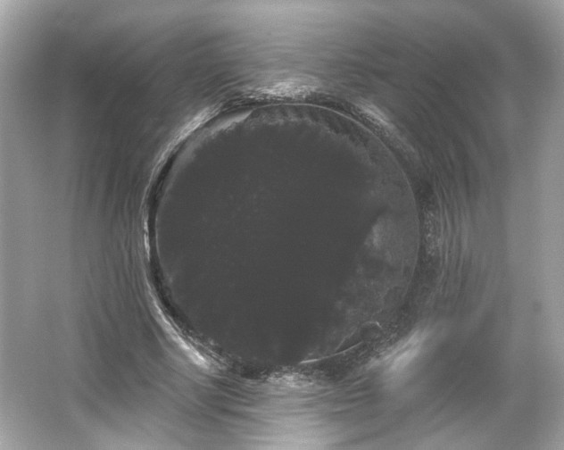 X0000065990634200603101505