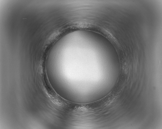 X0000065990635200603101505