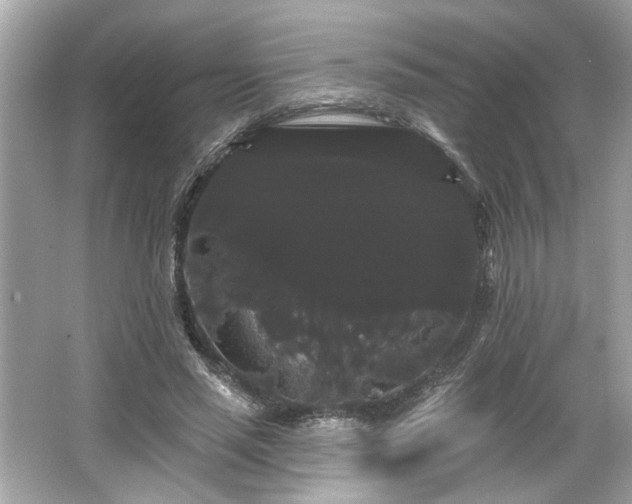 X0000065990637200603101505