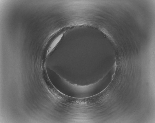 X0000065990640200603101505