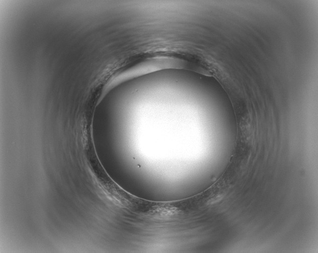 X0000065990642200603101505