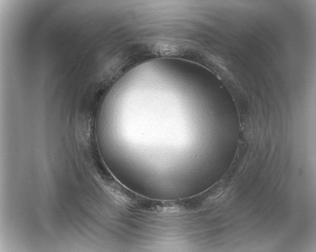 X0000065990645200603101506