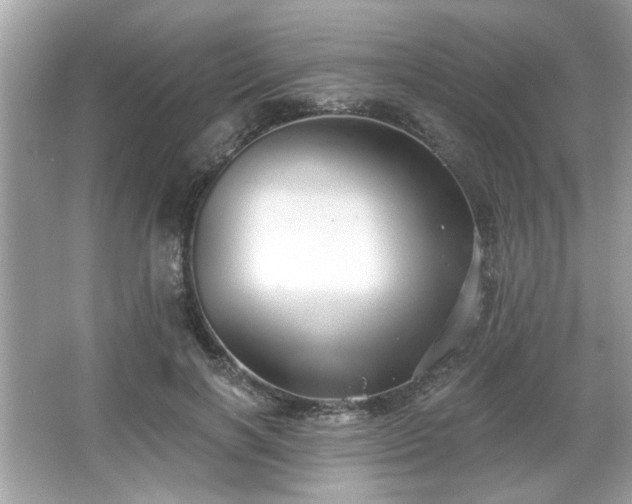 X0000065990646200603101506