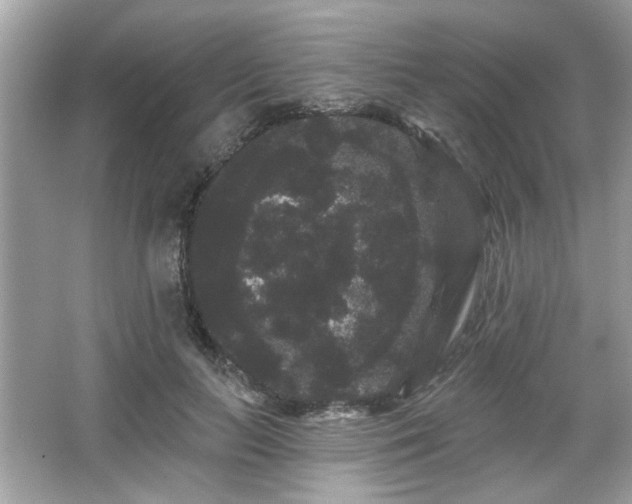 X0000065990647200603101506