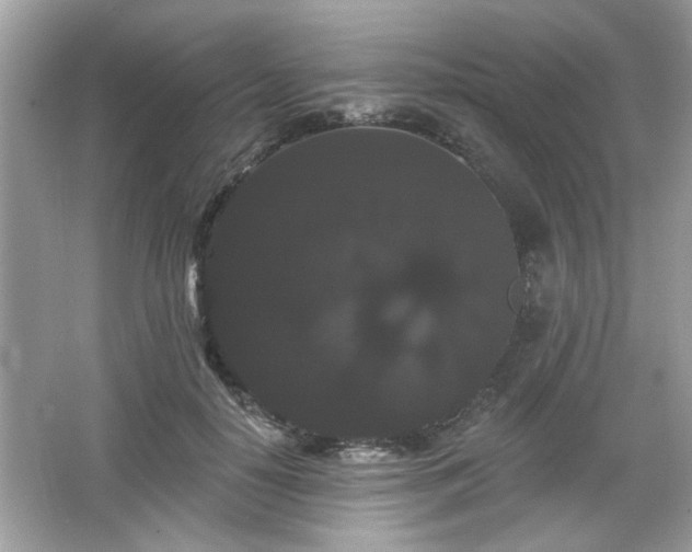 X0000065990650200603101506