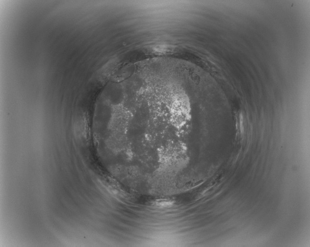 X0000065990651200603101506