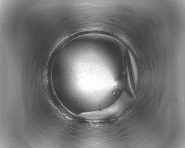 X0000065990676200603101505