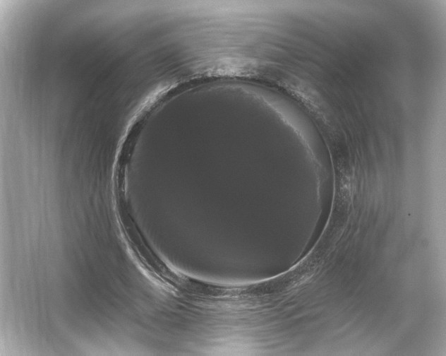 X0000065990678200603101505