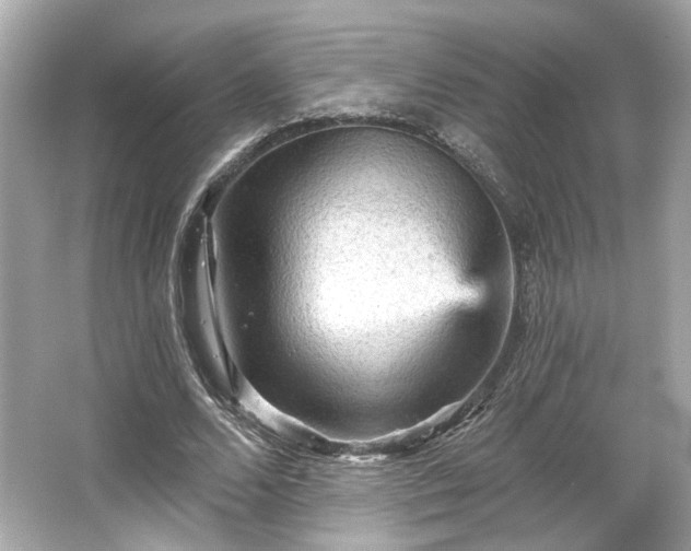 X0000065990680200603101505