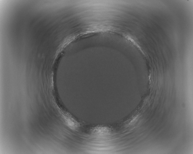 X0000065990685200603101505