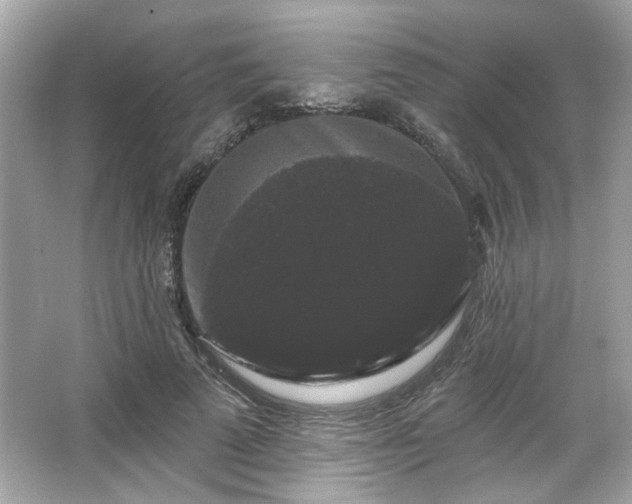 X0000065990689200603101505