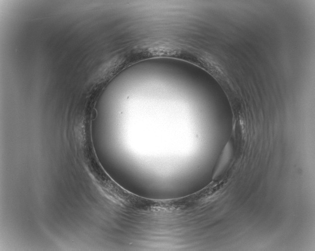 X0000065990690200603101505