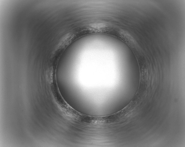 X0000065990694200603101505