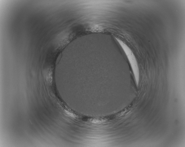 X0000065990697200603101505