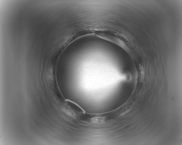X0000065990700200603101505