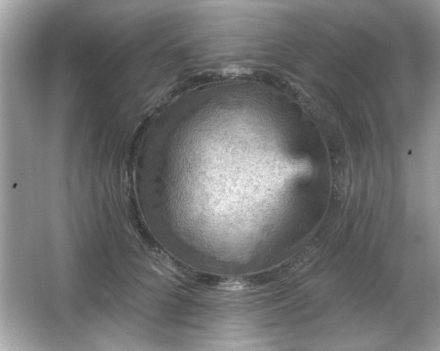 X0000065990704200603101505