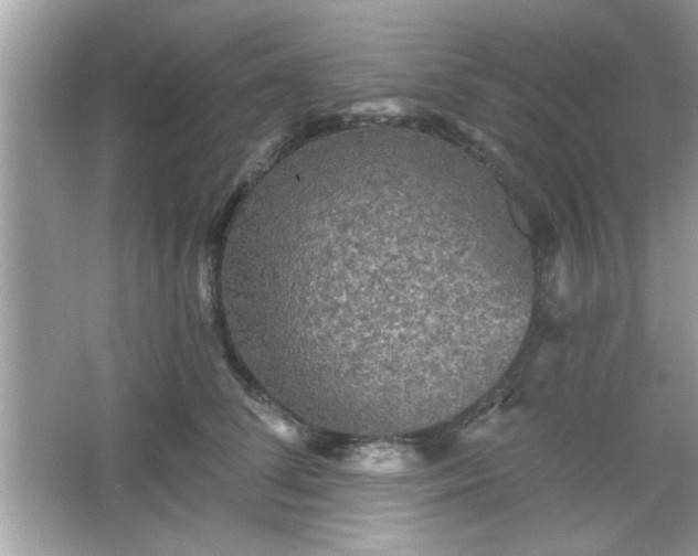 X0000065990708200603101505