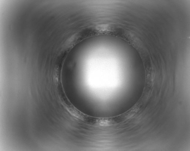 X0000065990710200603101505