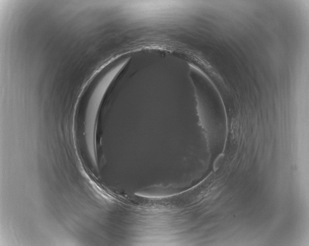 X0000065990722200603101504