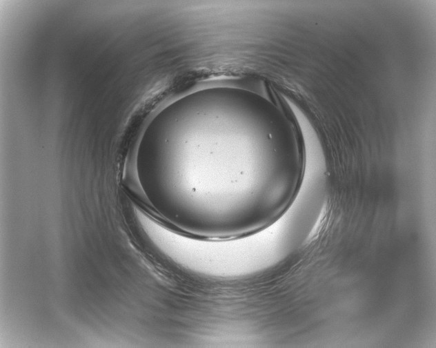 X0000065990735200603101504