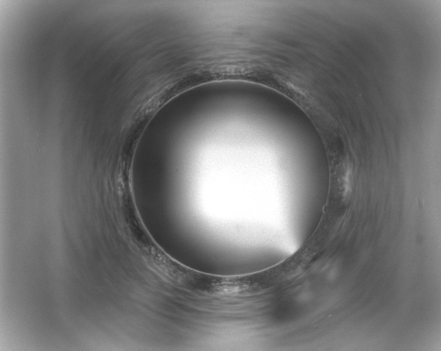 X0000065990746200603101504