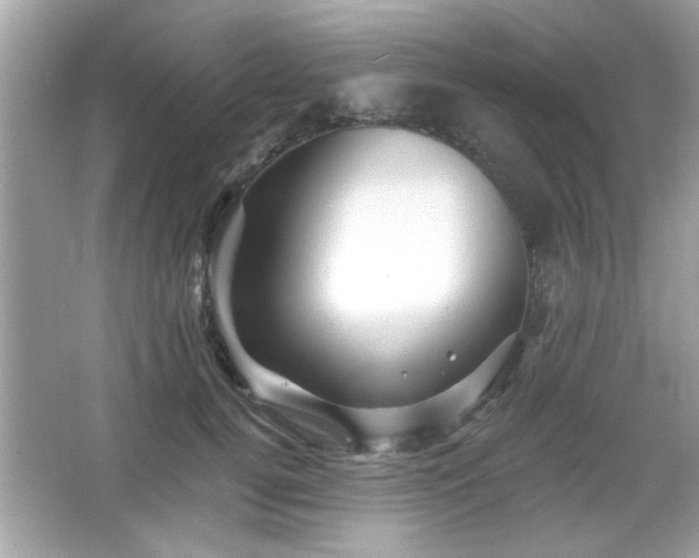 X0000065990752200603101504