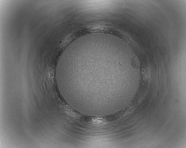 X0000065990753200603101504