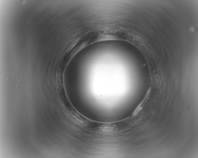 X0000065990756200603101504