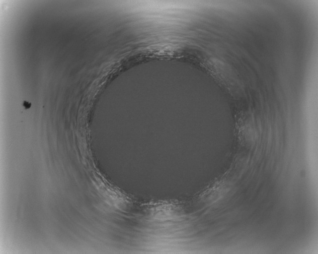 X0000065990769200603101504