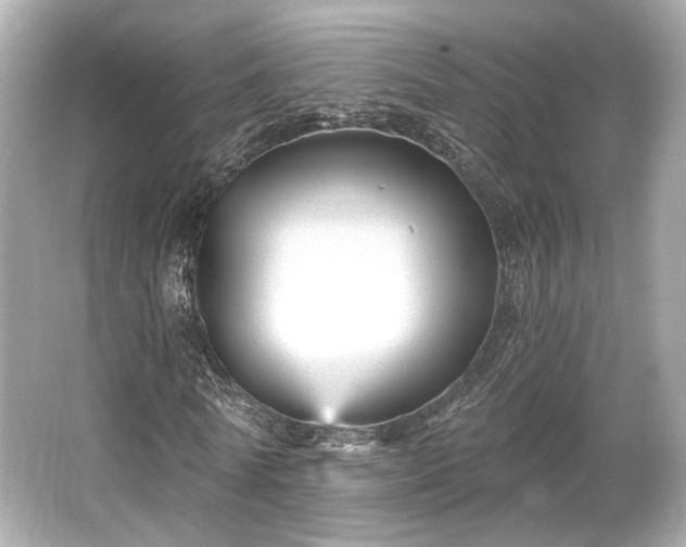 X0000065990770200603101504