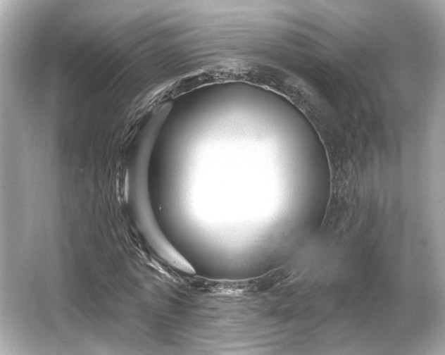 X0000065990773200603101503
