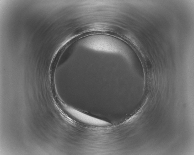 X0000065990779200603101503