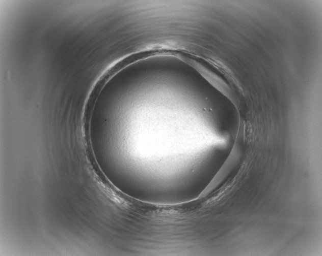 X0000065990784200603101503