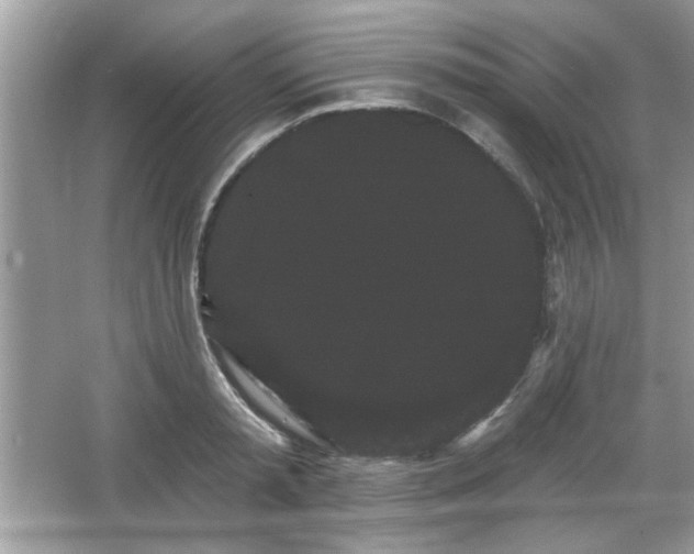 X0000065990797200603101503