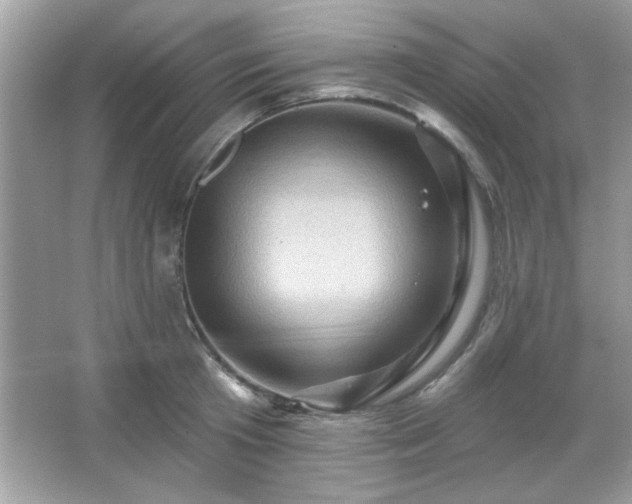 X0000065990801200603101503