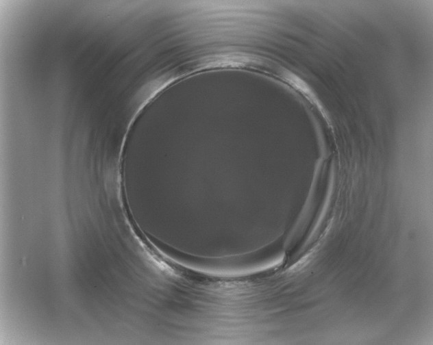 X0000065990802200603101503