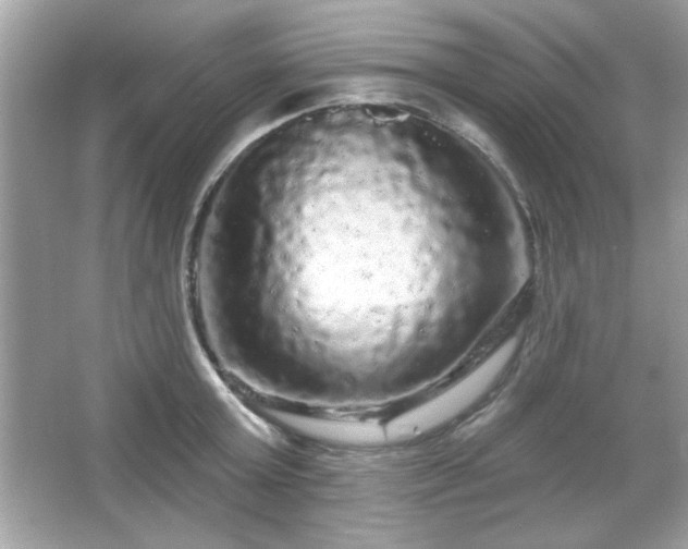 X0000065990803200603101503