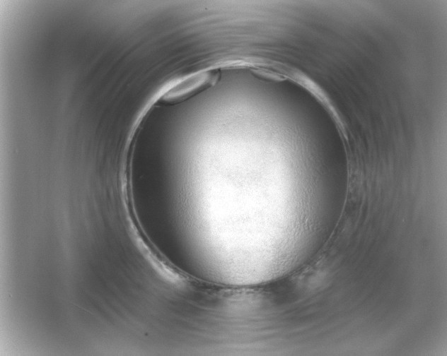 X0000065990811200603101503