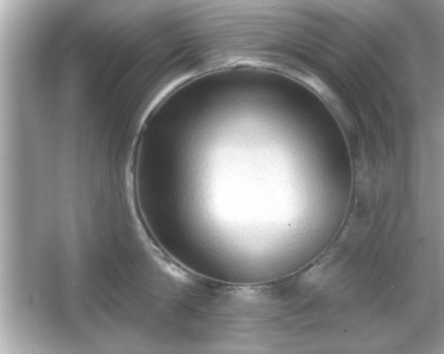 X0000065990814200603101503