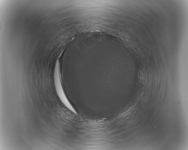 X0000065990818200603101502
