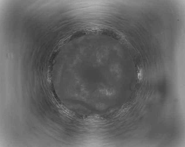X0000065990819200603101502
