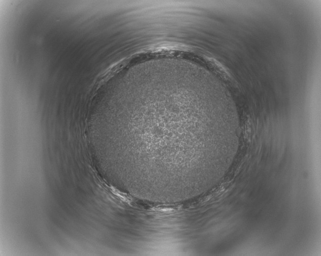 X0000065990821200603101502