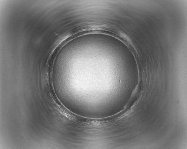 X0000065990827200603101502