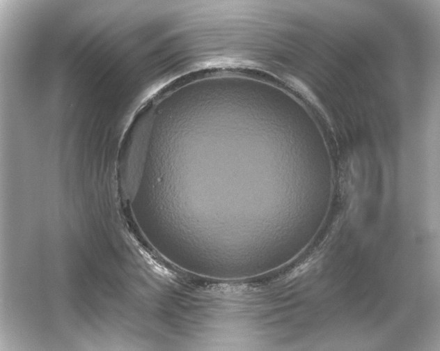 X0000065990831200603101502